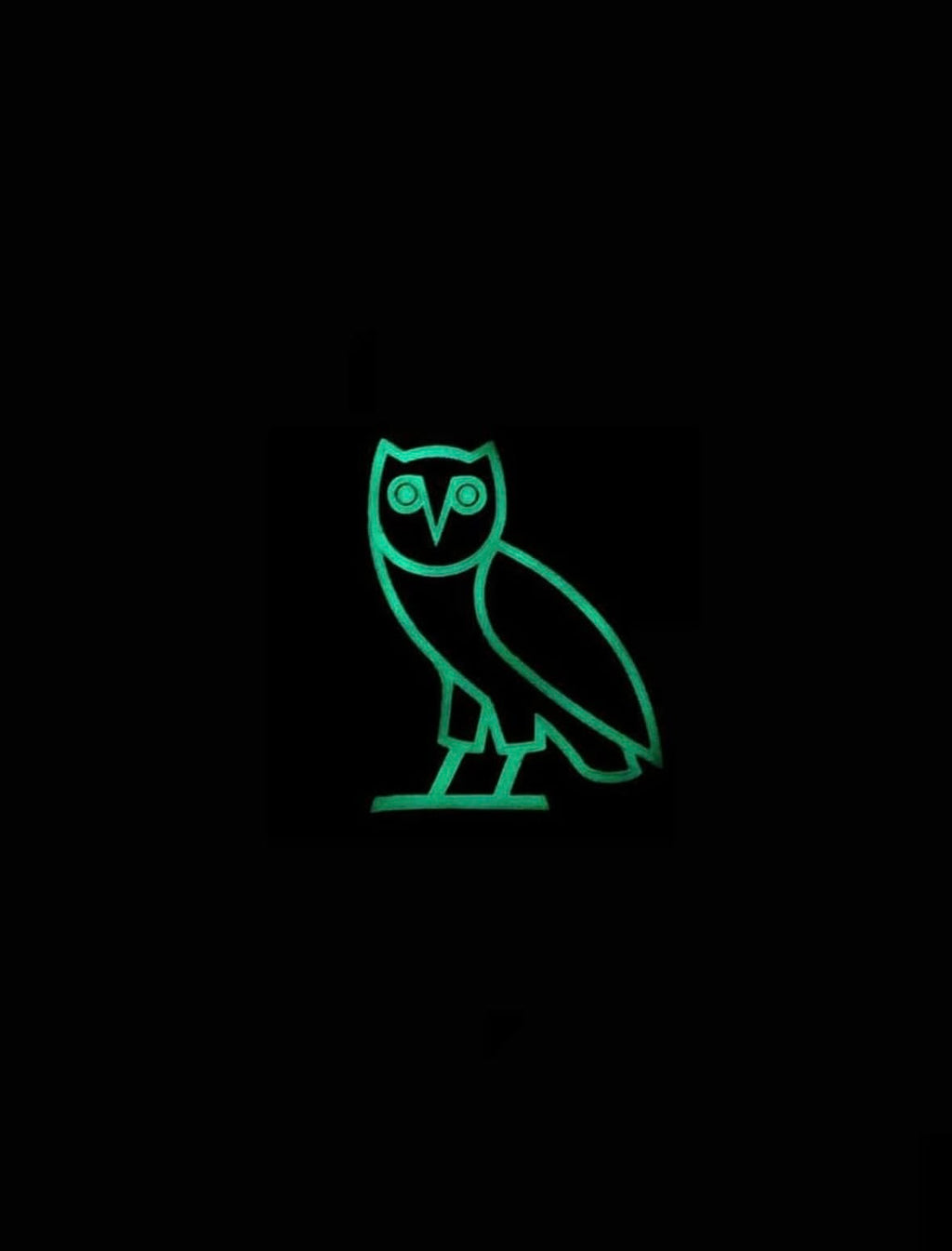 OVO ‘AfterDark’ OG Owl Hoodie Glow In The Dark 2019 - Black