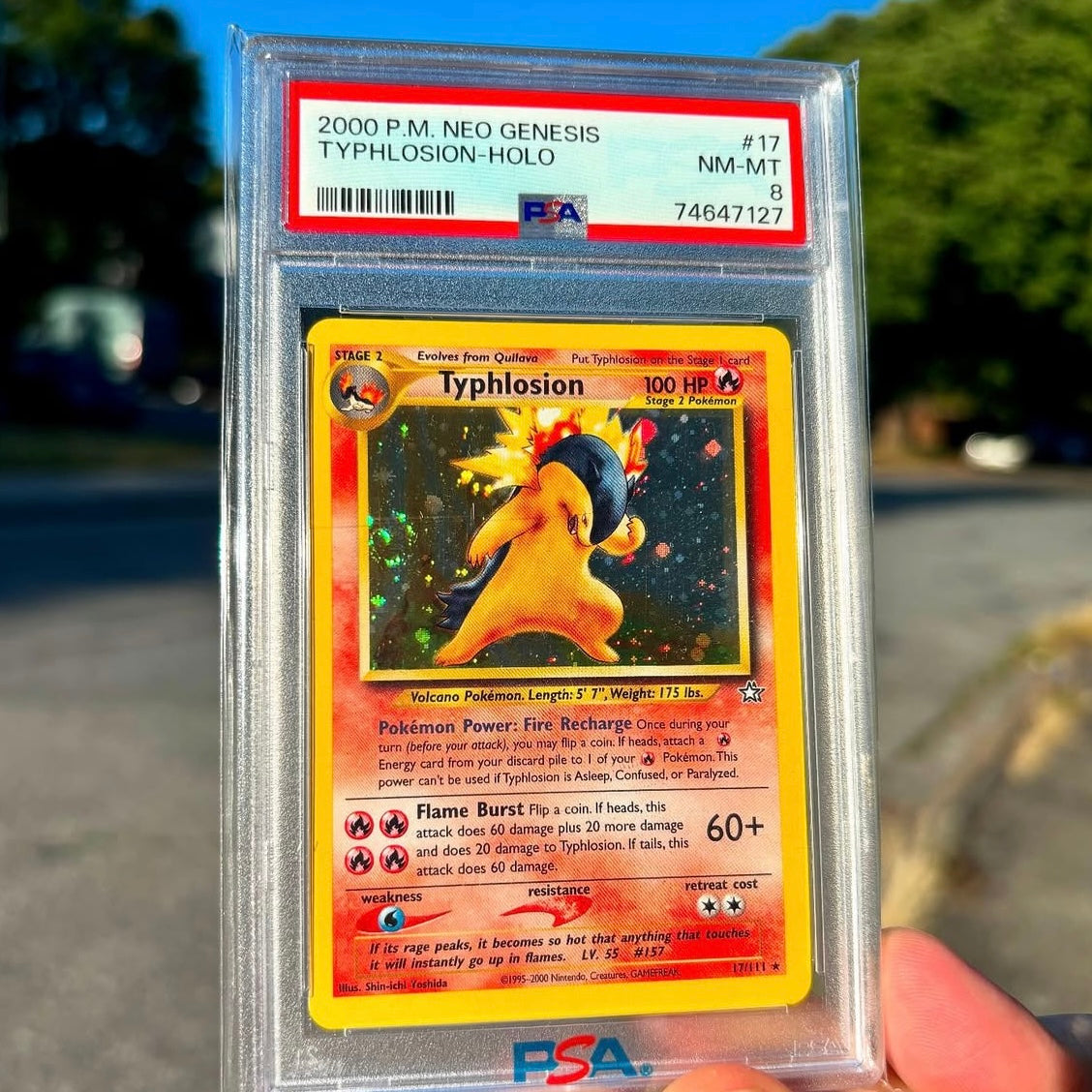 Pokémon Typhlosion Holo PSA 8 NM-MT Neo Genesis #17/111