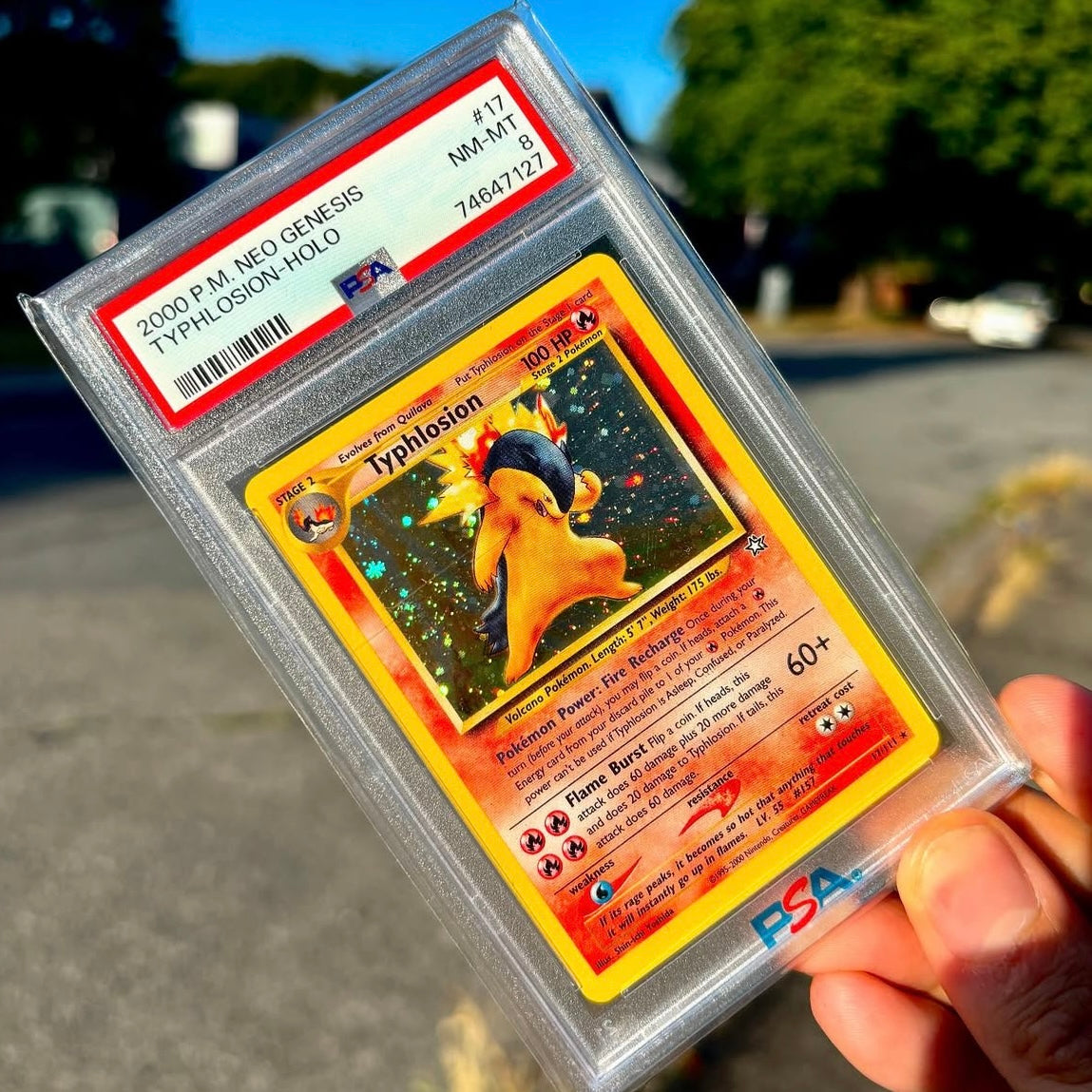 Pokémon Typhlosion Holo PSA 8 NM-MT Neo Genesis #17/111