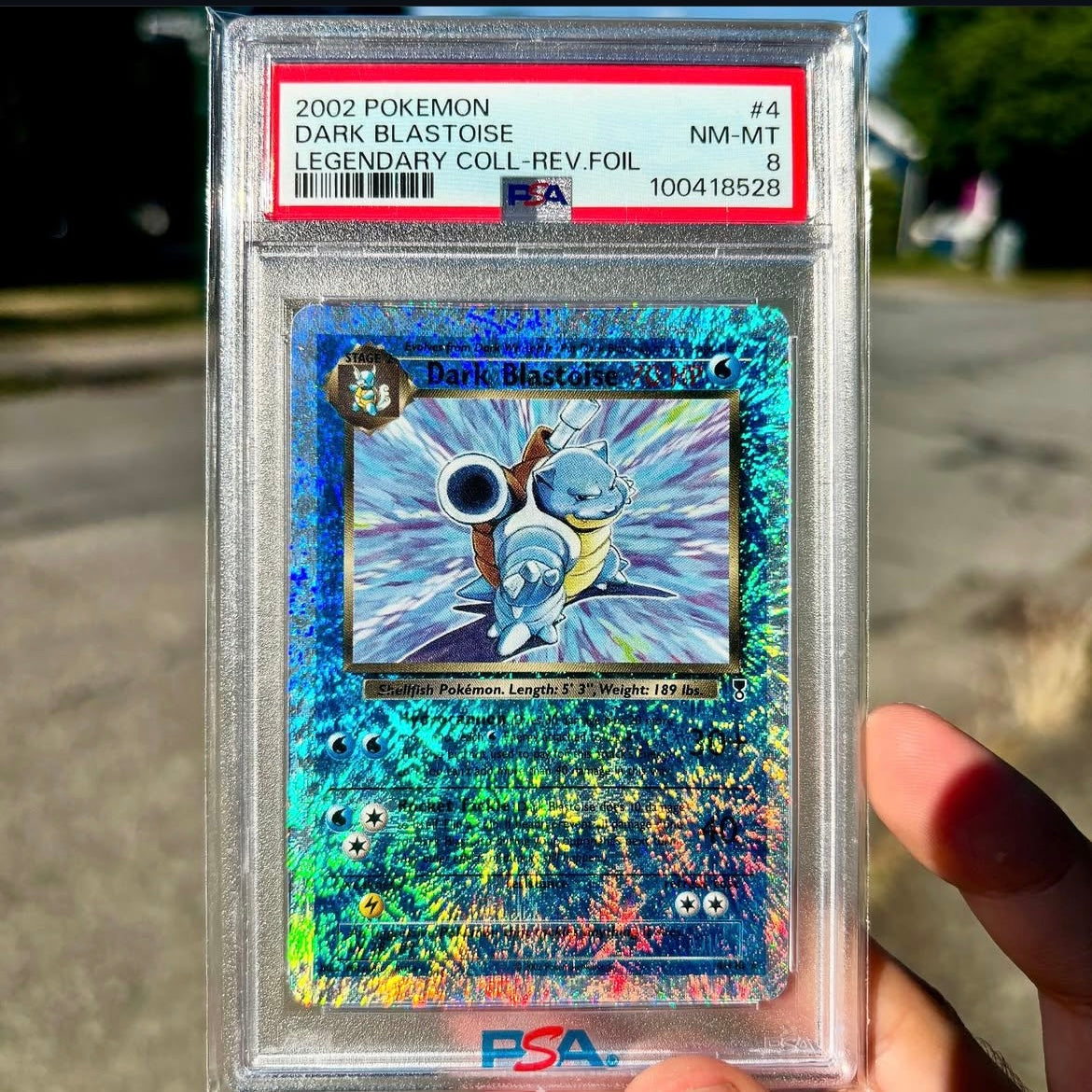 Pokémon Blastoise Reverse Holo PSA 8 NM-MT Legendary Collection #4/110